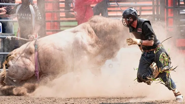 Bitcoin Bull Run 2026: $150K ATH Forecast & Technical Analysis