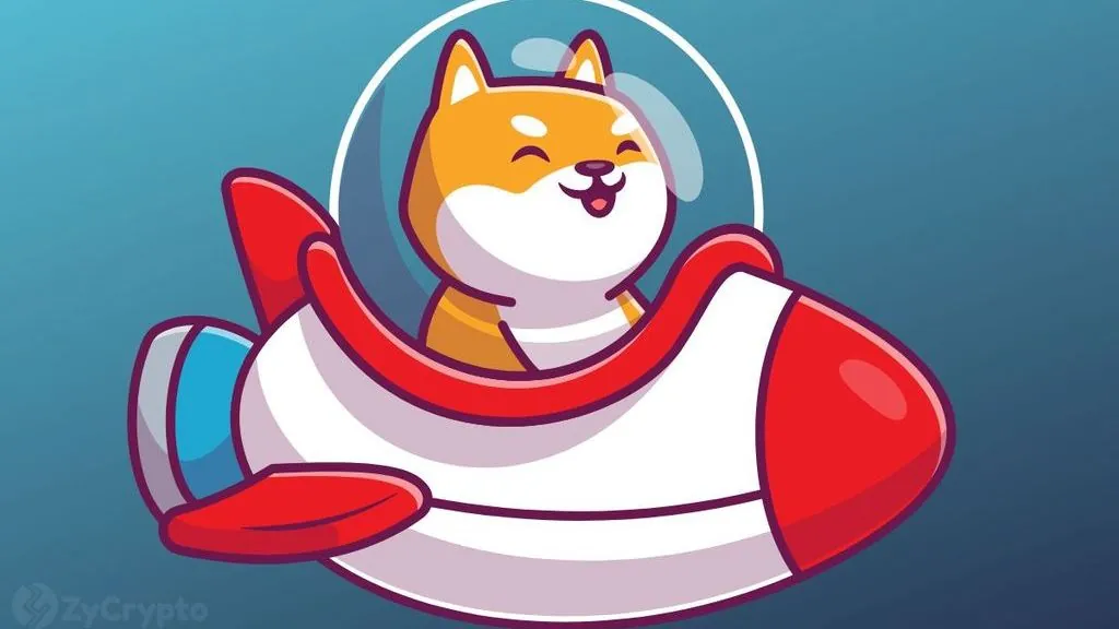 Shiba Inu Exchange Reserves Jump, Signaling Potential Profit-Taking
