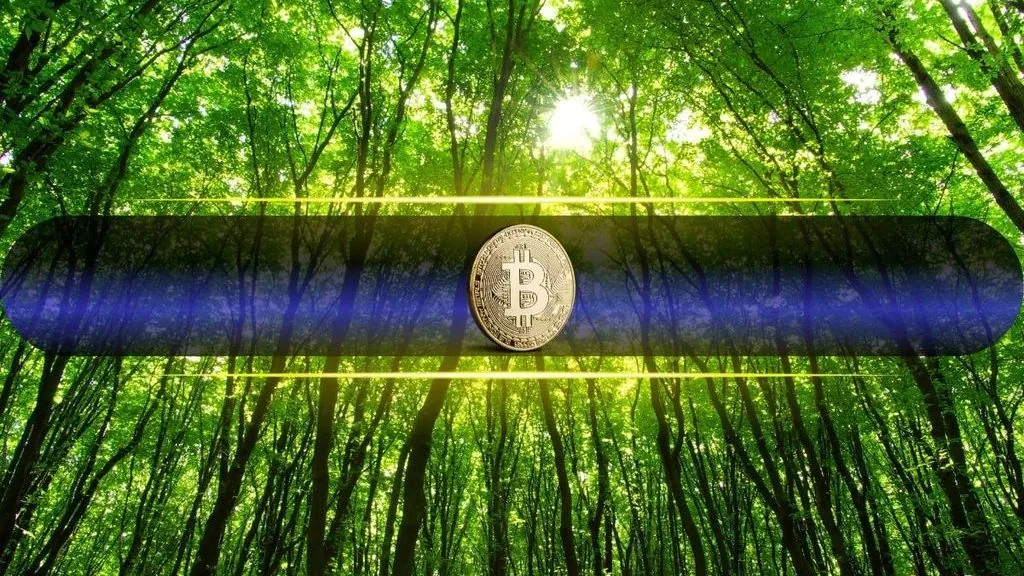 Bitcoin Breaks Above $80,000 for First Time Since January