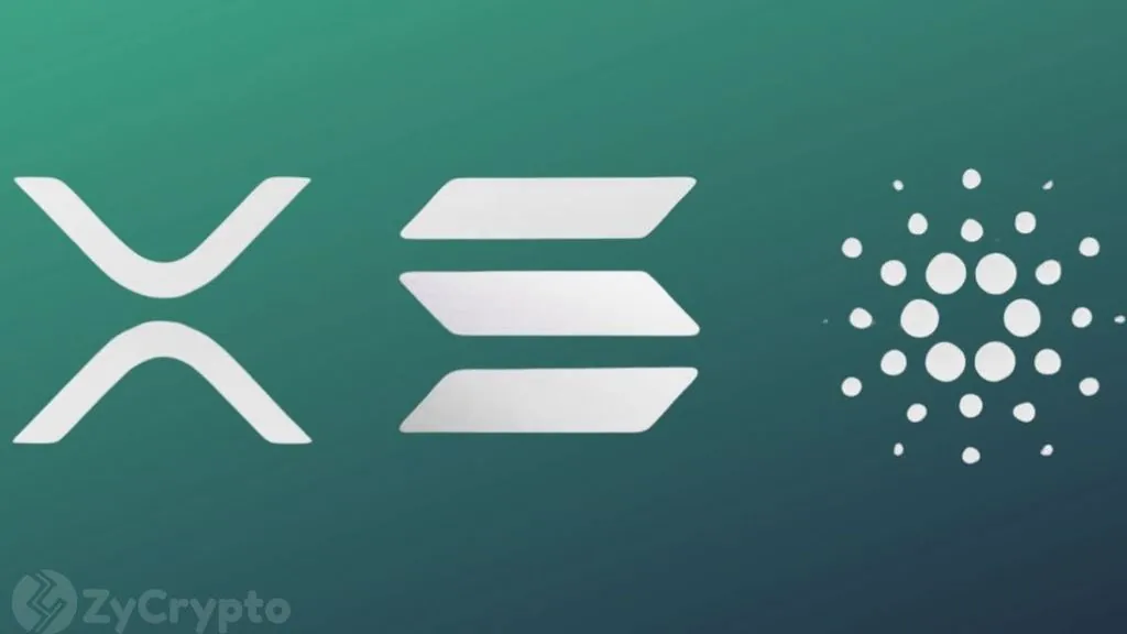 XRP Reaches 7.8M Holders, Surpasses Cardano and Dogecoin