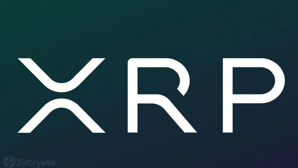 Ripple's Ex-CTO Schwartz Discloses XRP-Only Portfolio