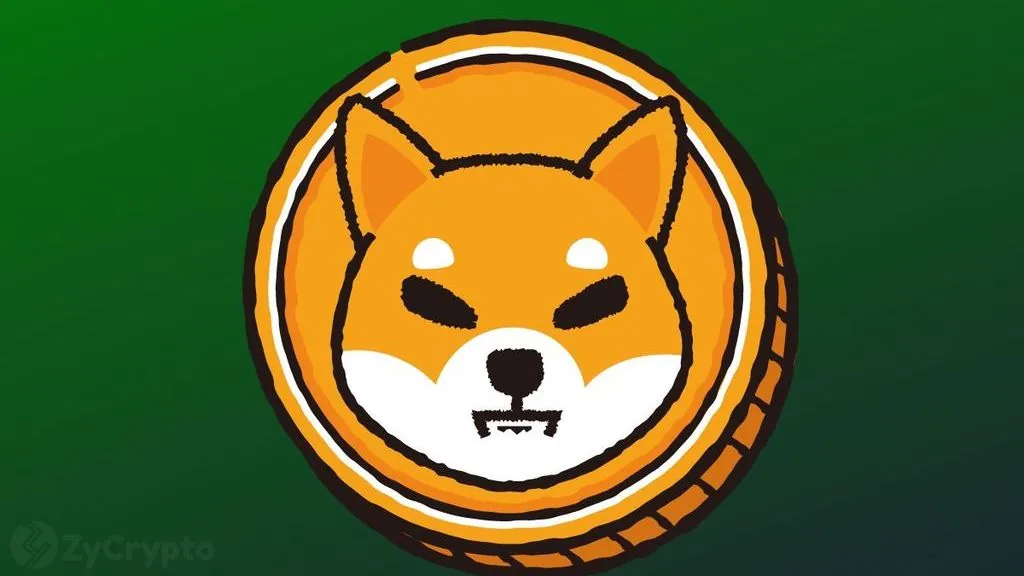 Shiba Inu Experiences 131B Token Net Exchange Outflow