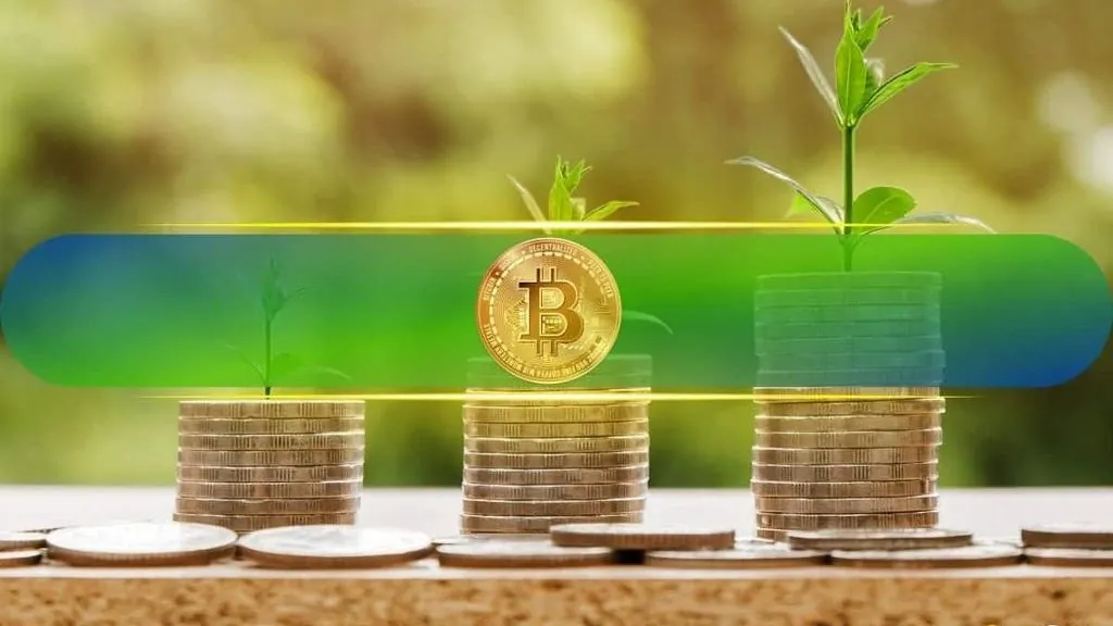 Bitcoin Holders' Unrealized Profits Hit Three-Month Peak