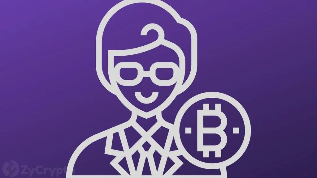 Lubin Speculates on Satoshi's Identity in Recent Comments
