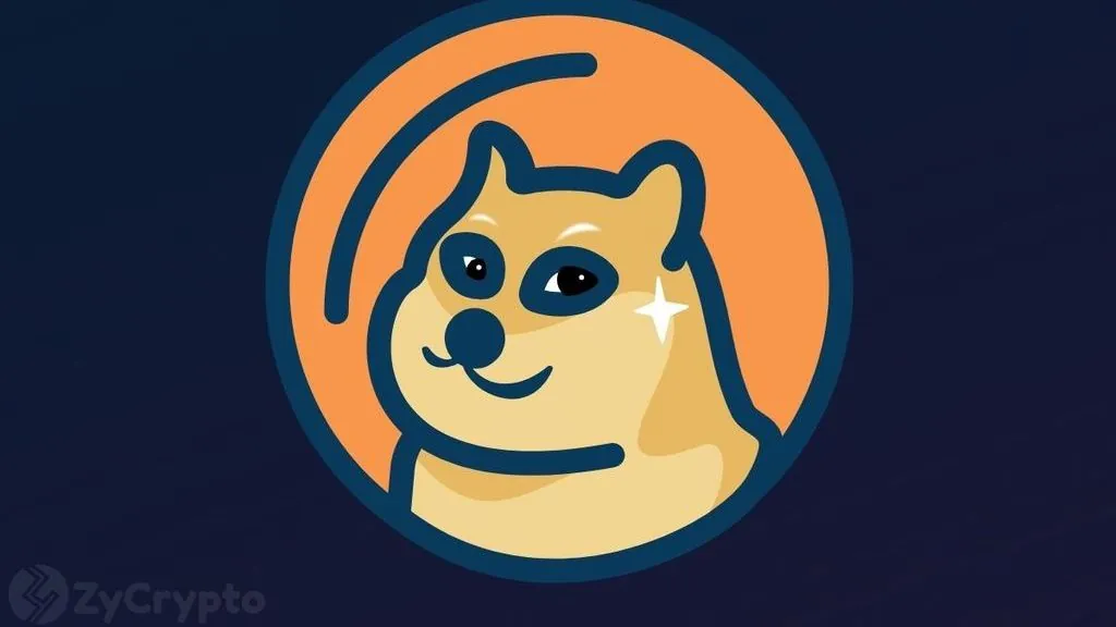 Dogecoin Holds Ground as Whale Holdings Climb to Six-Year High