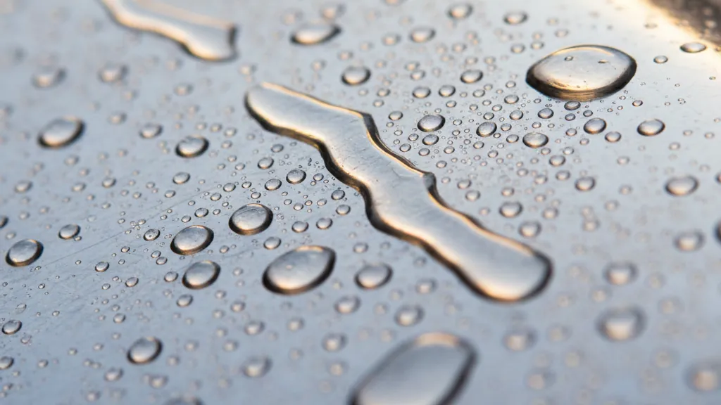 Cardano Breaks $0.25 as On-Chain Signals Align With Recovery