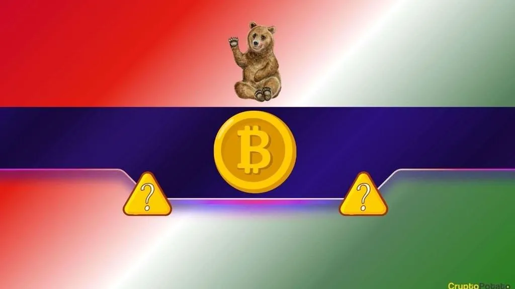 Analyst: Bitcoin May Not Have Bottomed Despite Recovery Rally