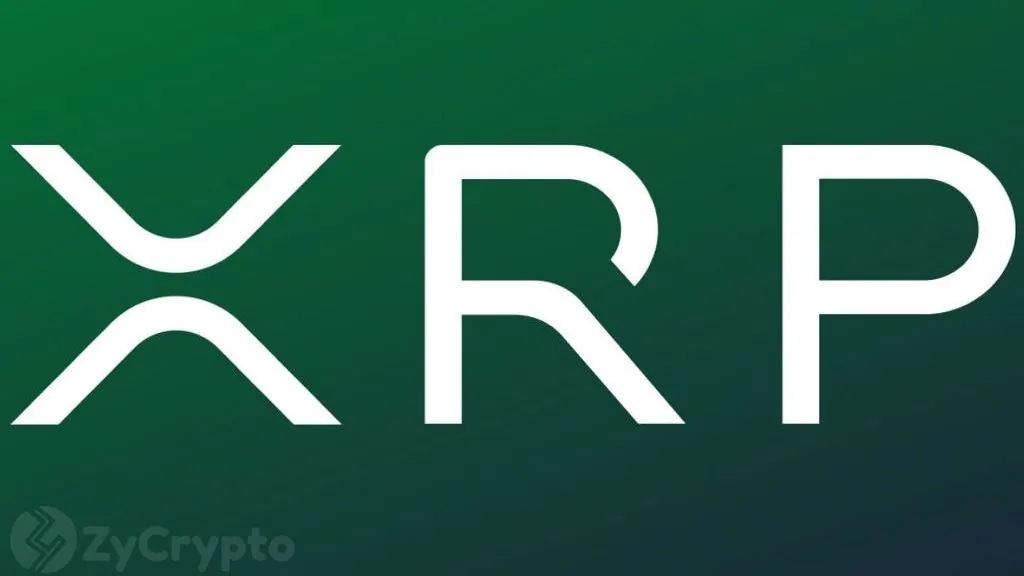 XRP Whale Wallets Reach 7-Year High Amid Sideways Trading