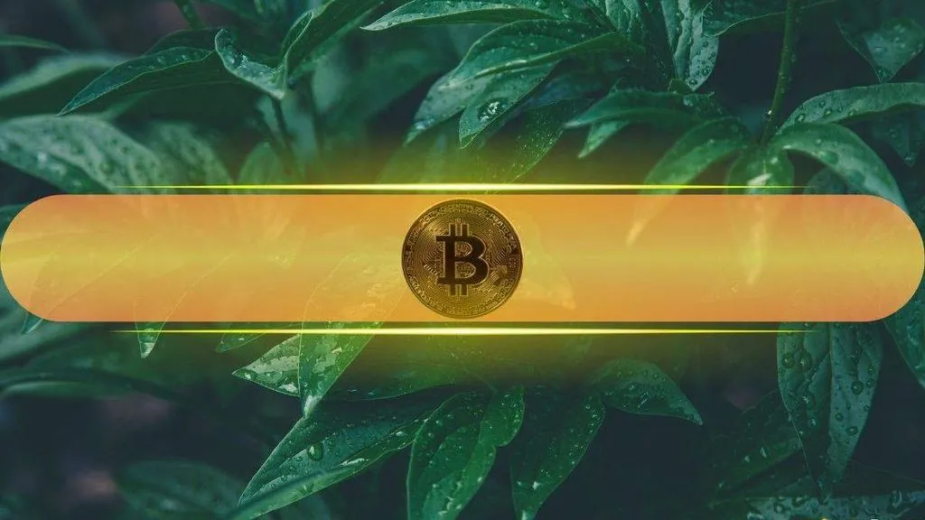 Bitcoin Rises to $77K on Iran Peace Reports; Details Remain Unclear