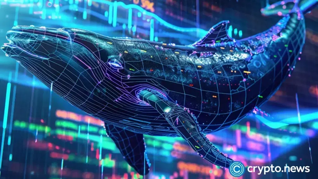 Crypto Market Narrows: Infrastructure and Privacy Tokens Lead While Altcoins Lag