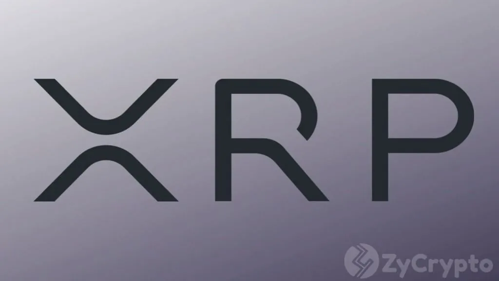 XRP Sentiment Falls to Extreme Fear as Market Turns Risk-Off