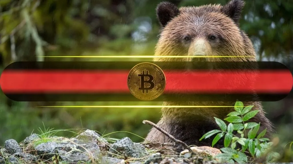 Stocks Outpace Bitcoin as Market Drivers Diverge, Analysts Say