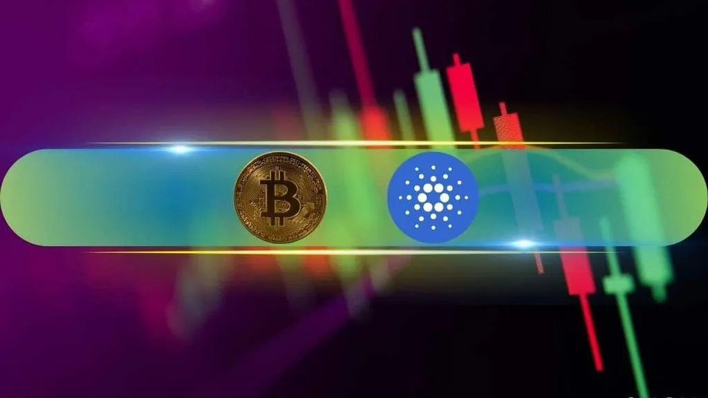 Monero Falls 12% as Bitcoin Steadies Near $64K