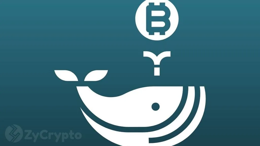 Bitcoin Climbs to $67,210 as Whales Move 12,000 BTC Off Exchanges