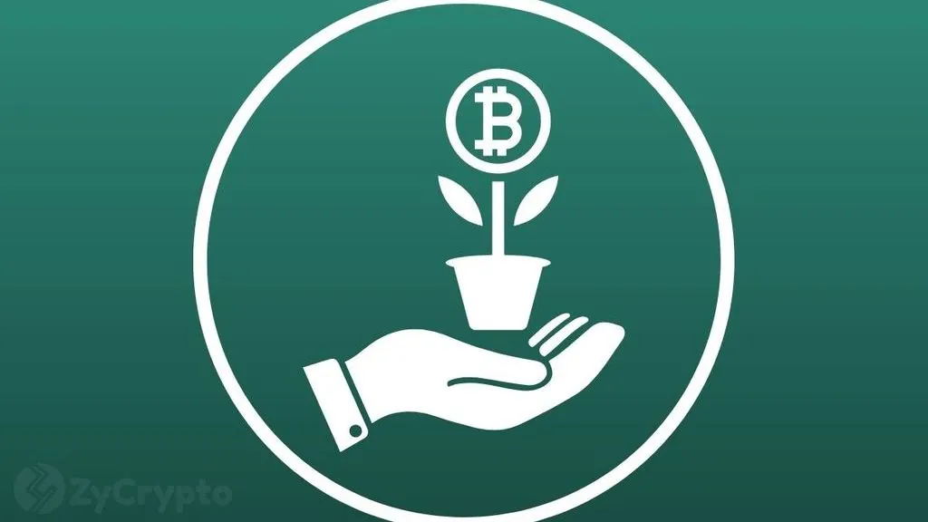 Mexico's Richest Man Says 70% of Wealth in Bitcoin, Eyes $1M Price