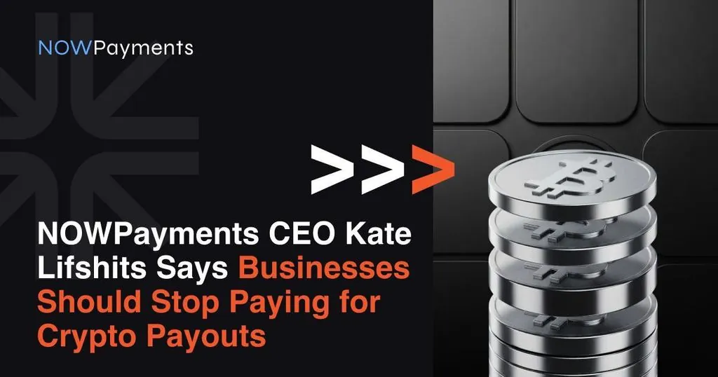 NOWPayments CEO Argues Businesses Should Eliminate Crypto Payout Fees