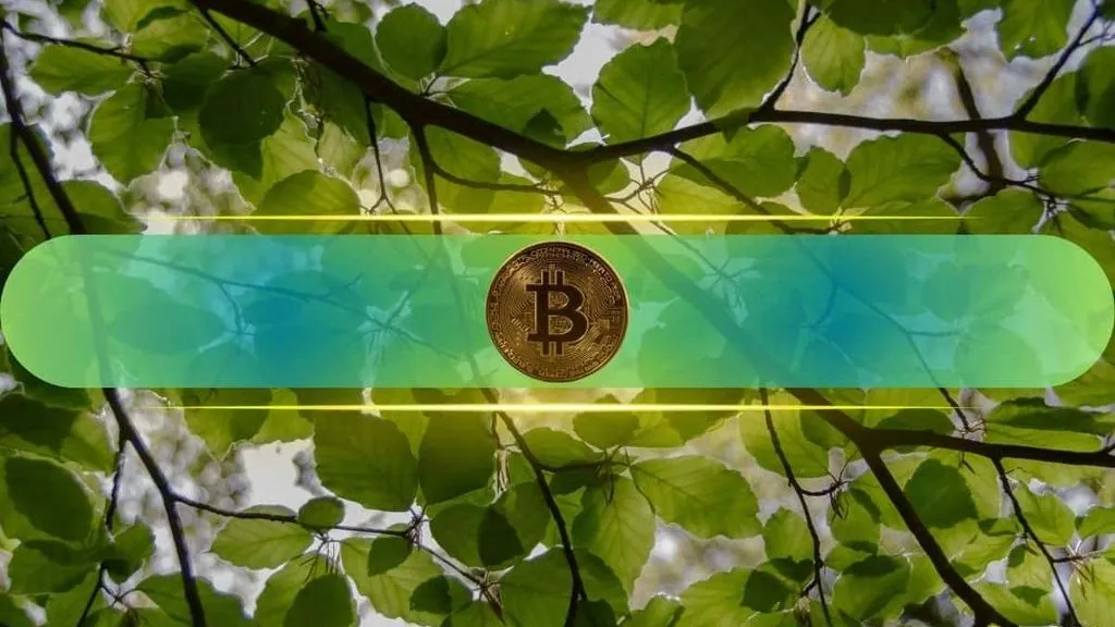 Bitcoin Climbs to Start July as Traders Weigh Bearish Backdrop