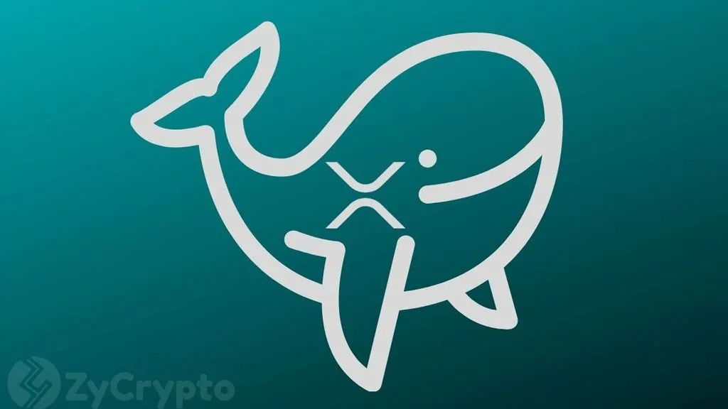 XRP Whale Activity Falls to Weekly Low Amid Market Volatility