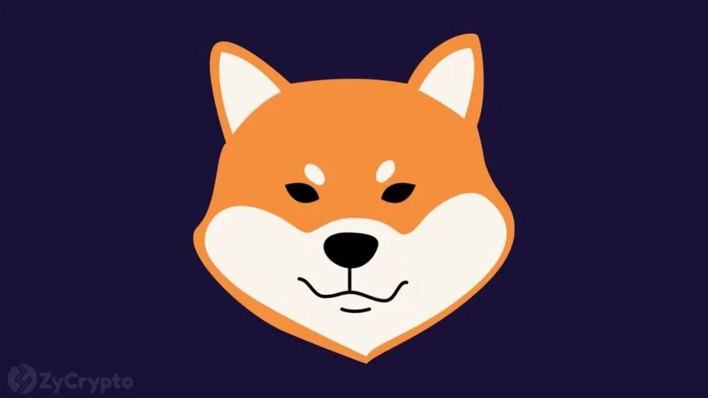 U.S. Government Transfers FTX-Seized Shiba Inu to Exchanges