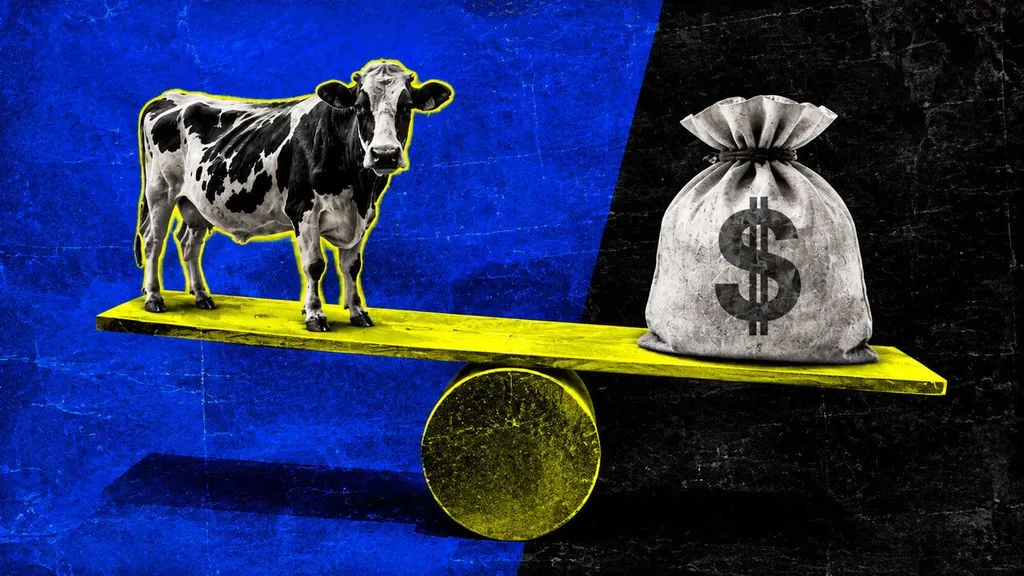 Brazilian Startup Tokenizes Dairy Cows as Collateral on B3 Exchange