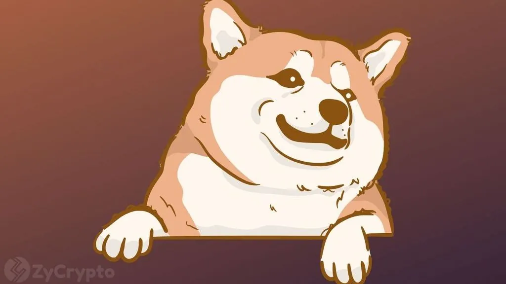 Shiba Inu's Shibarium Activity Surges 78% Despite Price Pressure
