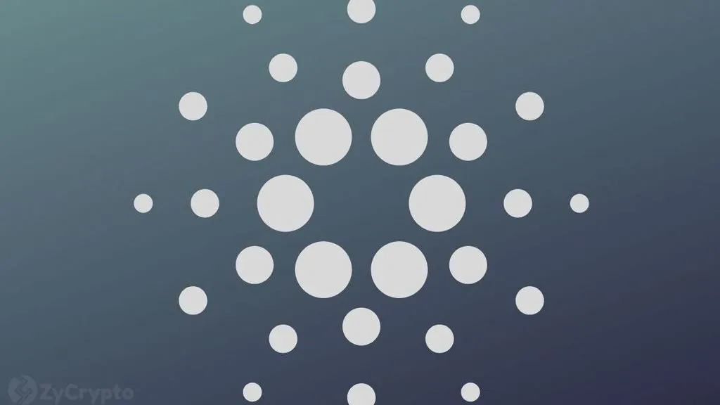 Whales Hold 68.76% of Cardano Supply as ADA Falls 70%