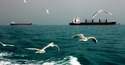 Europe's Potential Hormuz Funding Role Signals Geopolitical Shift in Energy Markets