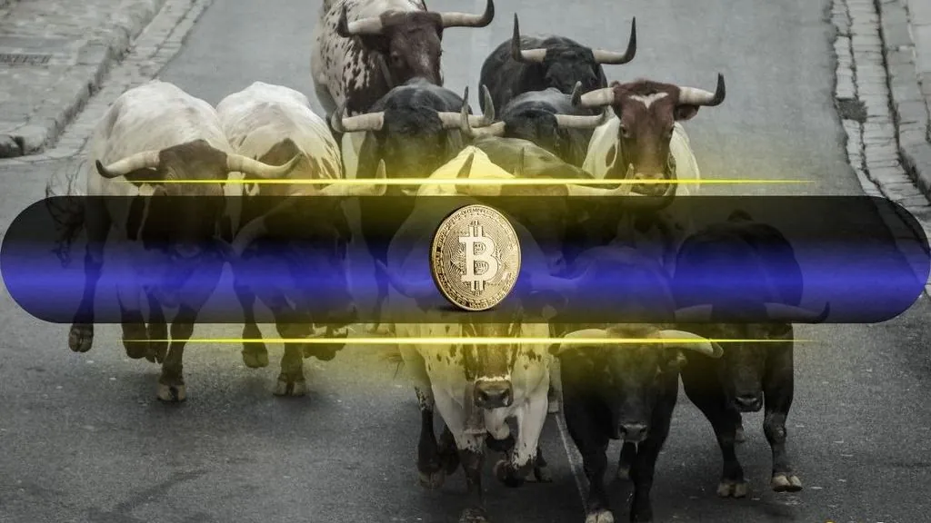 Bitcoin Breaks Past $75,000 as Altcoins Gain Ground